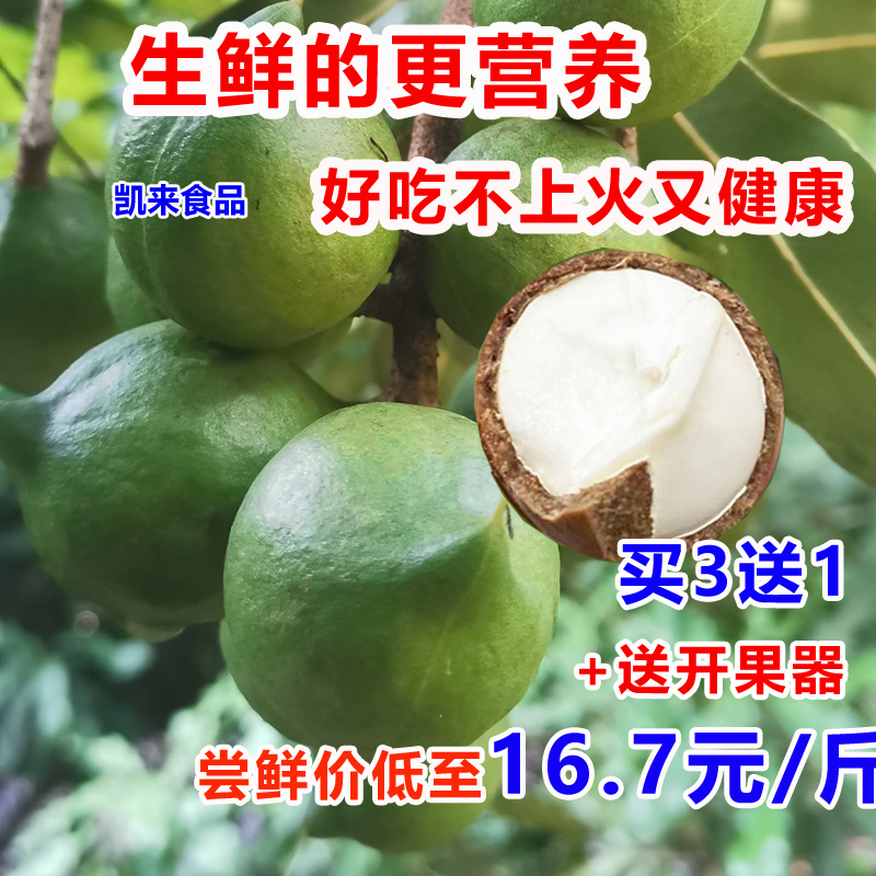 【坏1赔3】云南新鲜夏威夷果原味生果澳洲坚果干果无添加孕妇可食 零食/坚果/特产 夏威夷果 原图主图