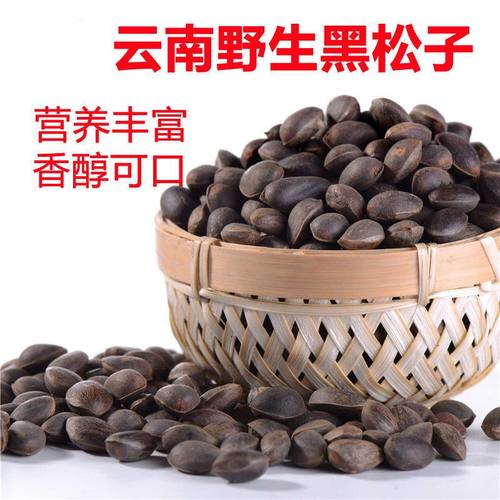 云南新鲜松子未加工无添加原味大颗粒落子孕妇坚果零食