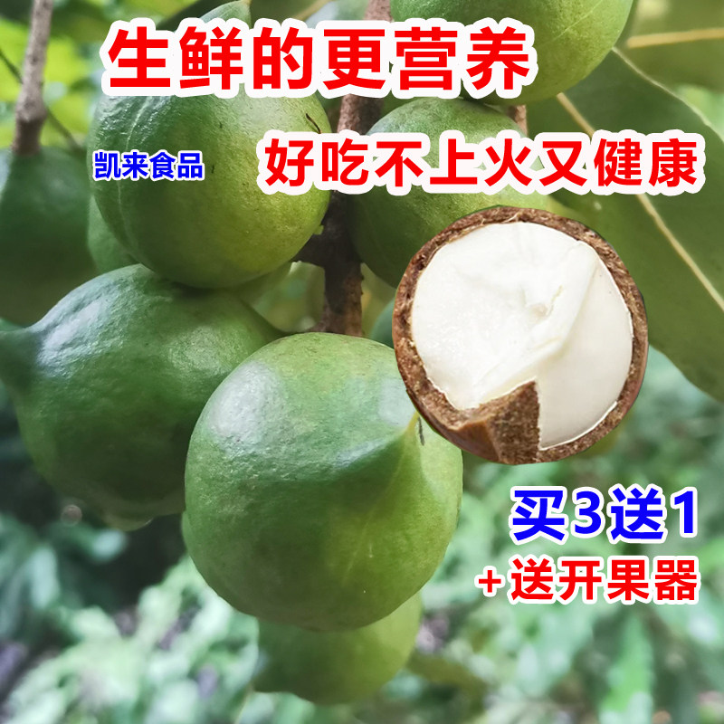 【坏1赔3】云南新鲜夏威夷果原味生果澳洲坚果干果无添加孕妇可食