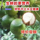 云南新鲜夏威夷果原味生果澳洲坚果干果无添加孕妇可食 坏1赔3