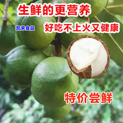 【坏1赔3】云南新鲜夏威夷果原味生果澳洲坚果干果无添加孕妇可食