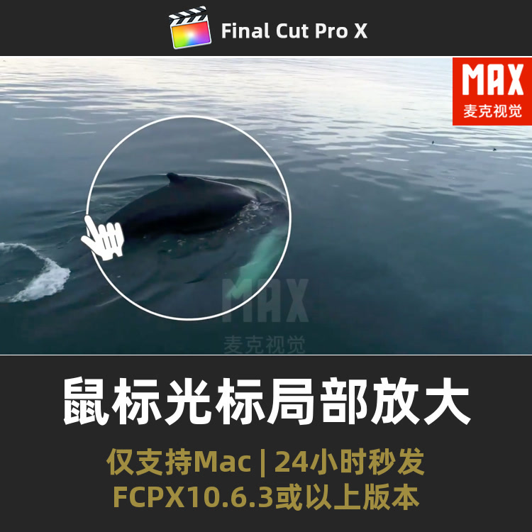 FCPX局部放大插件 12种鼠标光标点击框选圈选效果视频制作工具 商务/设计服务 设计素材/源文件 原图主图