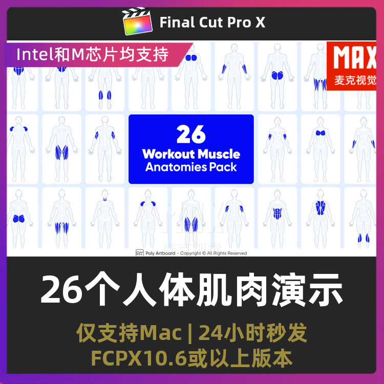 fcpx插件 26个矢量医疗生物学人体肌肉演示图标动画finalcut模板