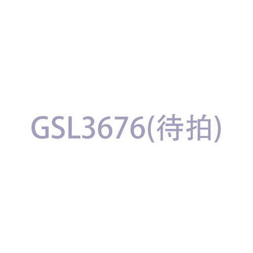 GSL3676 QFN封装 现货一个起发