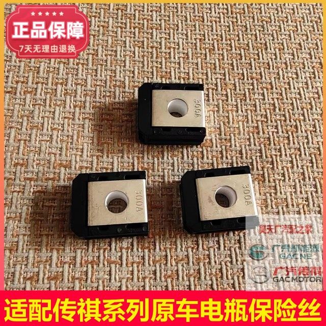 适配传祺GS4/GS8/GM8/GM6/GS5新款电瓶300A保险电瓶正极保险丝 - 实物图