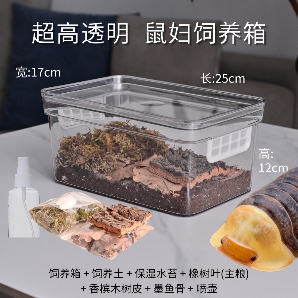 高透高颜值鼠妇饲养盒一套配齐