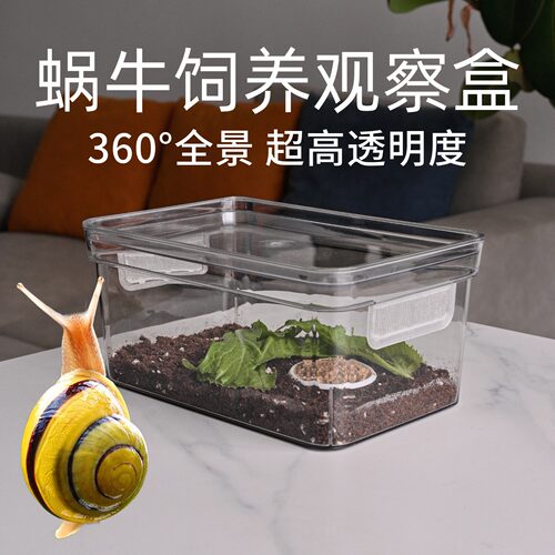 高透明无需拼装一体成型不漏土