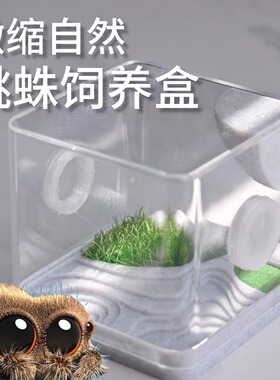 跳蛛饲养盒佛罗里达跳蛛饲养盒蜘蛛饲养盒佛跳饲养盒跳蛛生态盒