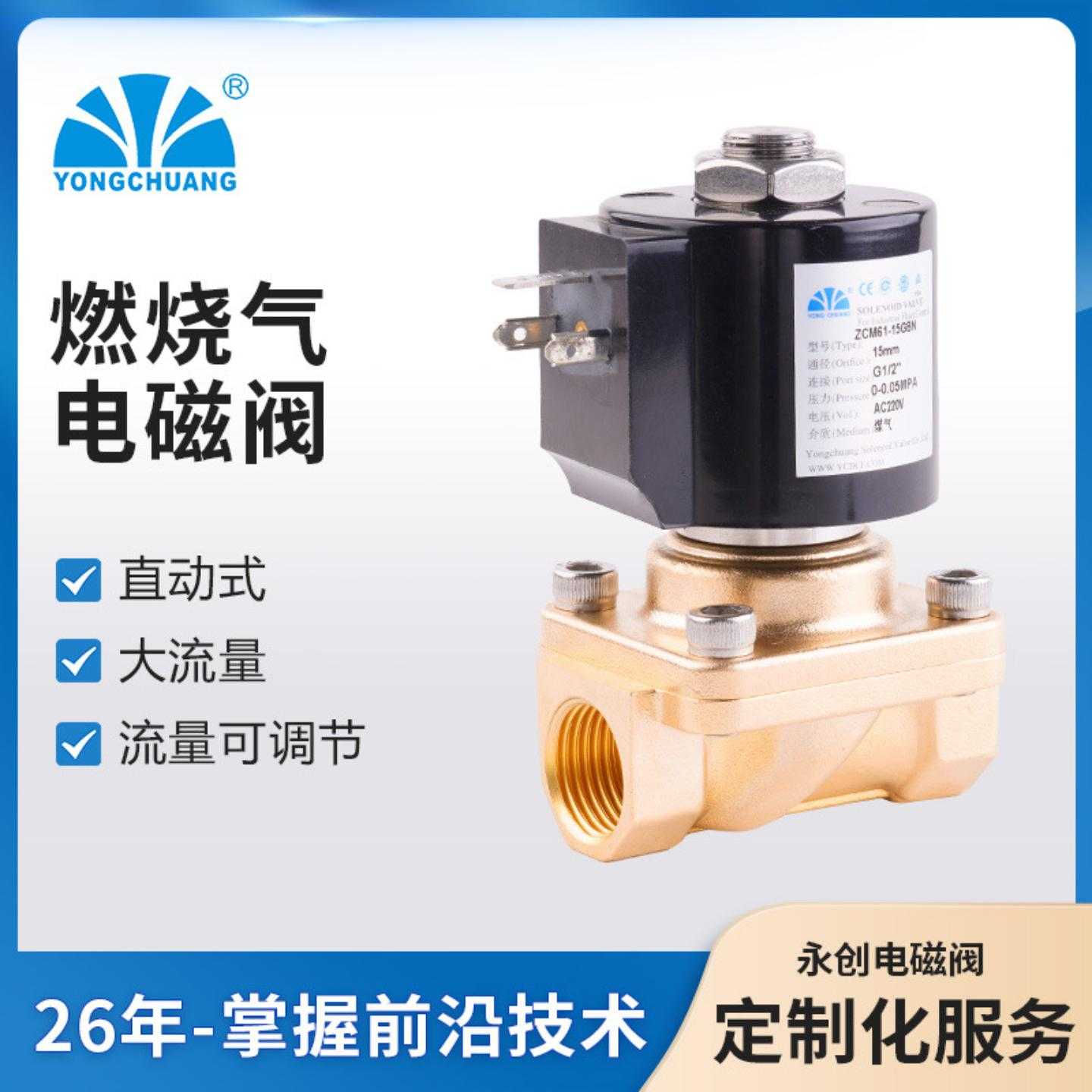 永创ZCM61电磁阀 直动式大流量进水冲洗开关可调节 适用燃烧气