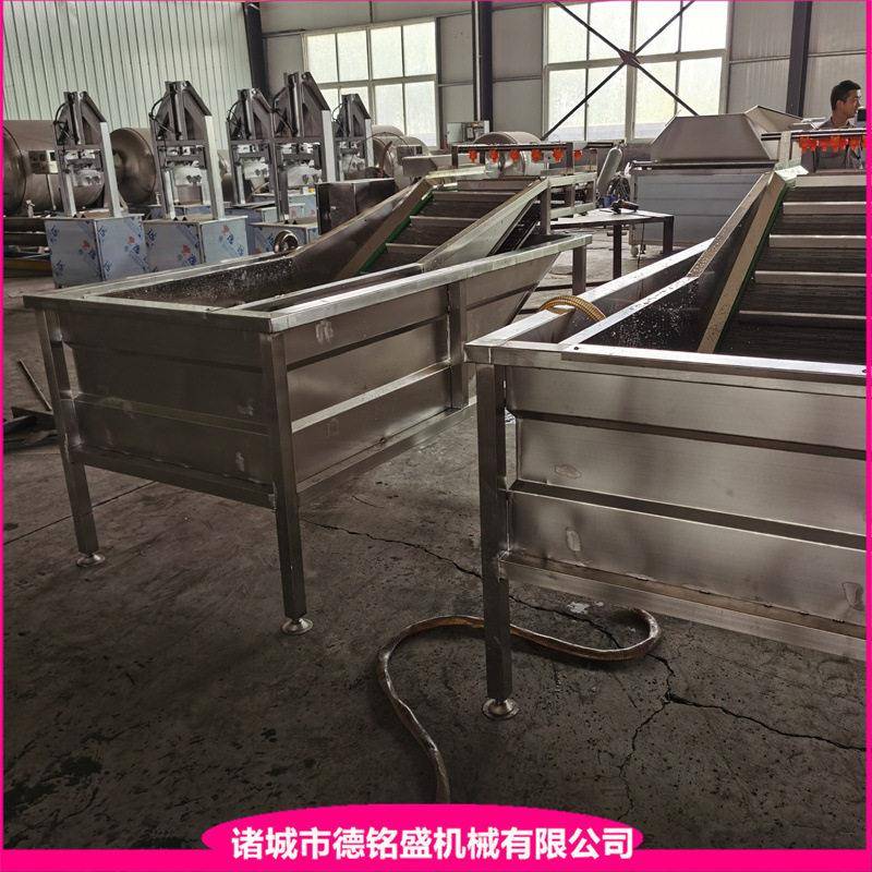 水浴式黄桃清洗机 洗带鱼段设备 瓜果蔬菜清洗风干流水线