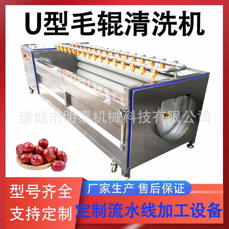 干红枣干洗机 土豆魔芋毛刷去皮机 大姜辣根茨菇U型毛辊清洗机