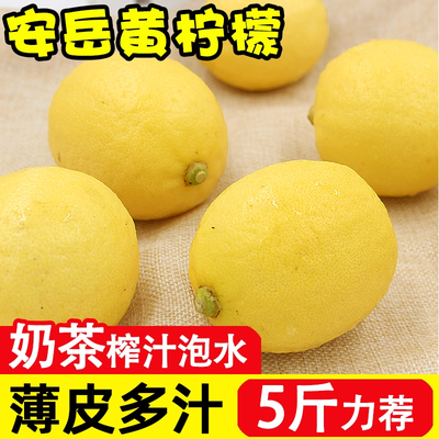 安岳黄柠檬丨9斤一级大果