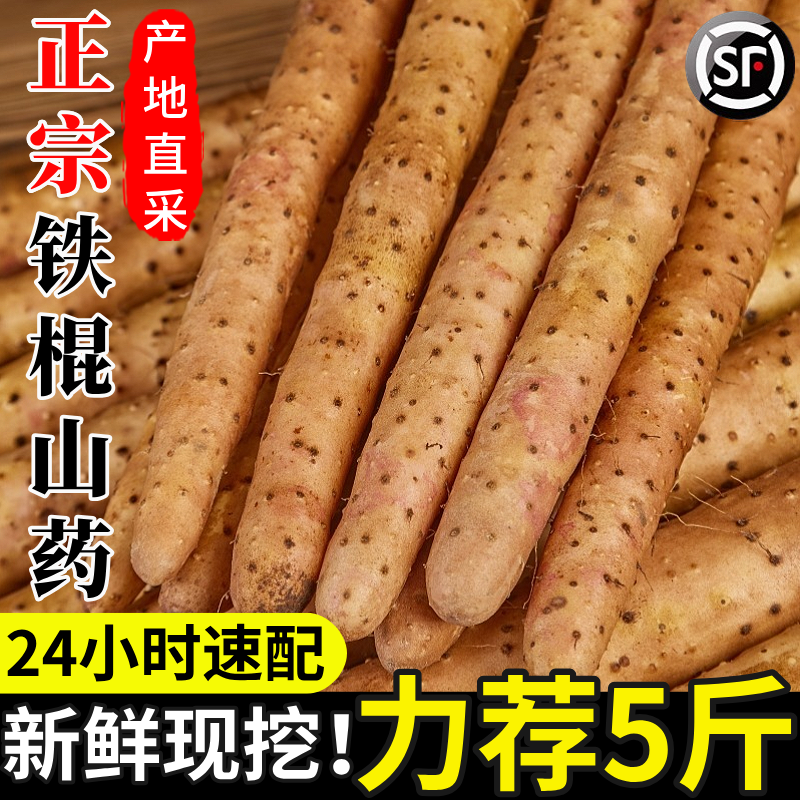 正宗铁棍山药5斤新鲜铁杆麻山药小白嘴山药农家现挖软糯淮山药