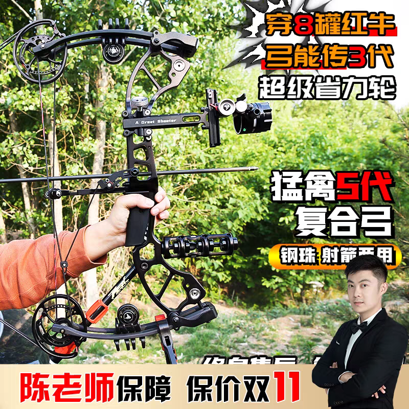 猛禽5五代非6六代两用复合弓箭成年人竞技射击射箭打钢珠狩猎