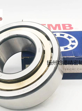 正品浙江天马TMB圆柱滚子轴承 NJ2234EM  42534 尺寸：170*310*86