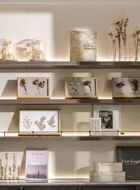 自然科学主题陈设软装样板房书架书柜花艺植物标本摆件道具装饰书