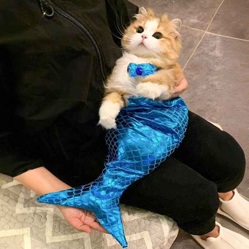 猫咪衣服美人鱼服饰宠物小猫搞怪造型变装拍照道具布偶搞笑鱼尾装
