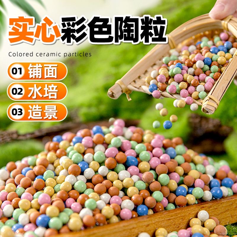 彩色陶粒球花用水培多肉盆栽