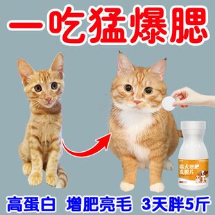 吃出大圆脸】猫咪专用发腮片治挑食厌食长肉快开胃助消化增肥爆腮