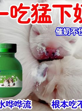 宠物催奶片猫狗下奶催奶片催乳猫狗开奶催奶狗犬用催奶高钙营养品