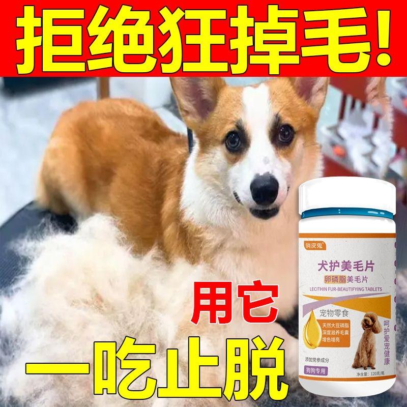 狗狗掉毛美毛亮毛一瓶搞定