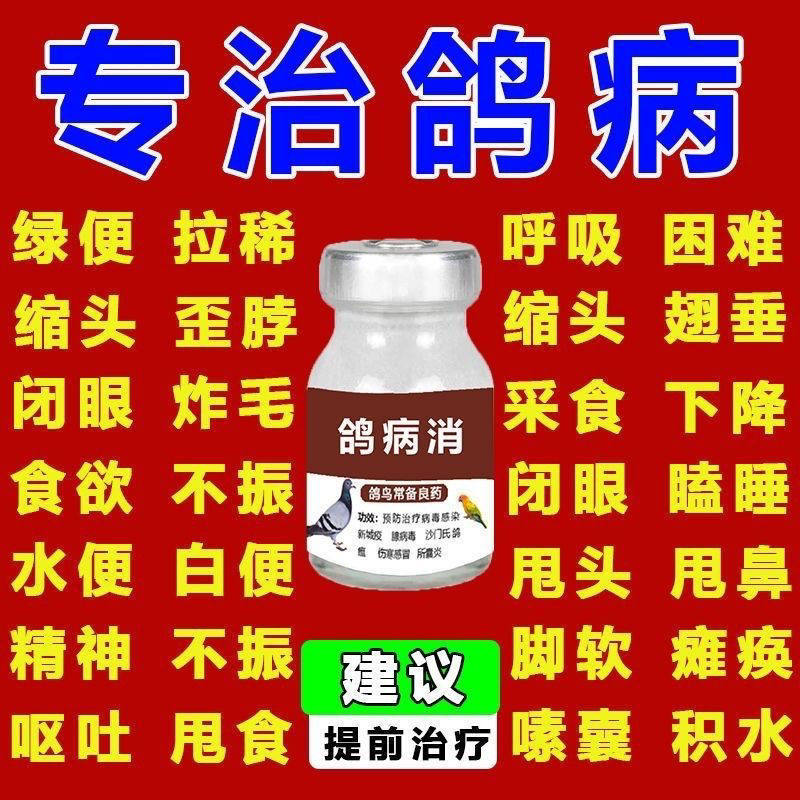 鸽药鸽子药品大全常见病