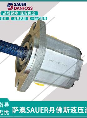 新款齿轮油泵SKP1NN/3.8/6.0/7.8/010/012N01包邮