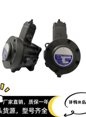 新款VCM-SF-20D/20C/20B/12D-10/30台湾油泵VCM-SF-30D/40C-2包邮