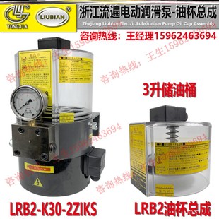 K20 3ZI浙江流遍电动油脂润滑泵LRB1 2ZI储油桶2ZKI油杯 K30 LRB2
