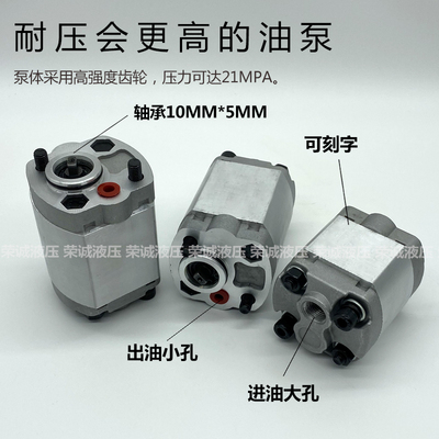 新款TRYY齿轮油泵CBT1-F