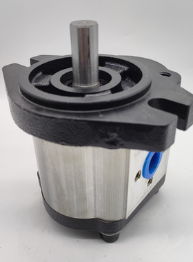 新款齿轮泵CBW-F304/F306/F310-ALP F316-AFP F316-CLP CFP液包邮