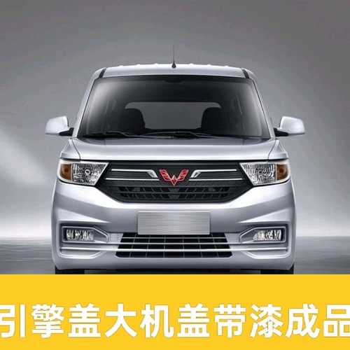 适配五菱宏光V19款机盖发动机前机盖引擎盖总成带漆包邮无损安装