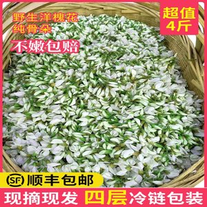 槐花新鲜杨槐花2024年现摘现发秦岭洋槐花花苞槐花骨朵杨槐花顺丰