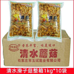 尹氏家园滑子菇1kg*10袋珍珠菌清水滑子蘑野山菌腌制蘑菇菌汤原料