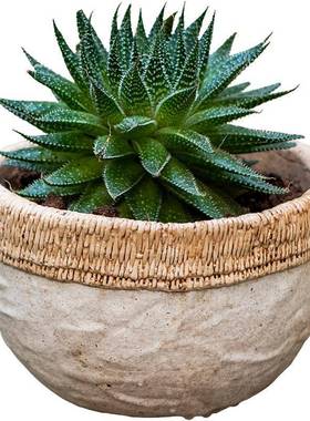 彷藤布纹水泥花盆器皿编大号广口TC06336碗花院园庭做艺术陈设装