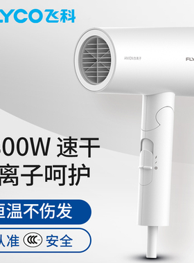 飞科吹风机家用大功率恒温速干护发电吹风宿舍用学生风筒机FH6276