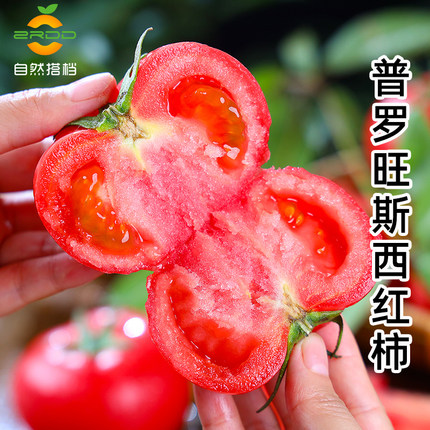 自然搭档普罗旺斯西红柿新鲜水果蔬菜沙瓤可生吃番茄顺丰包邮