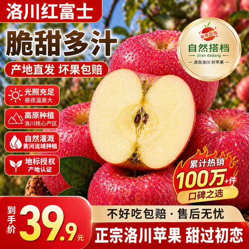 自然搭档正宗洛川苹果