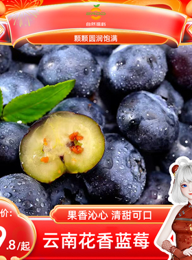 云南花香蓝莓新鲜水果当季4盒高山蓝梅鲜果孕妇大果SF/JD包邮