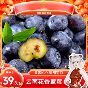 云南花香蓝莓新鲜水果当季4盒高山蓝梅鲜果孕妇大果SF/JD包邮