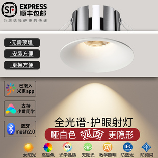 无边框筒灯嵌入式家用深杯防眩普瑞全光谱护眼客厅小山丘射灯