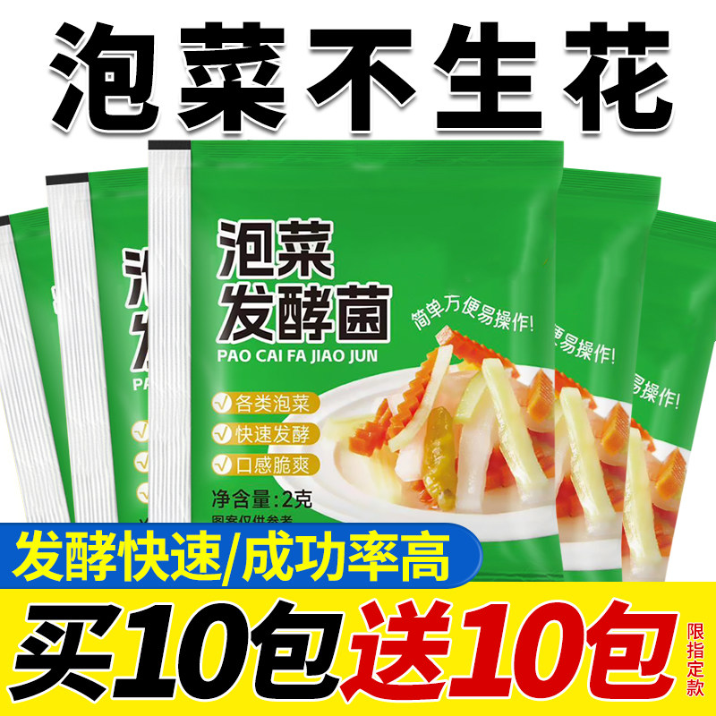 泡菜发酵菌家用乳酸菌发酵粉酸菜