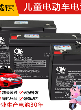 6V4.5AH7ah 6V12V儿童电动玩具汽车摩托童车蓄电池电瓶充电器配件