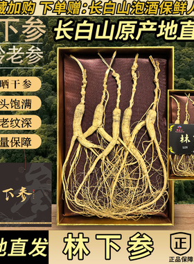 林下参山参长白山人参生晒干参正品人参整枝林下山参礼盒泡酒煲汤