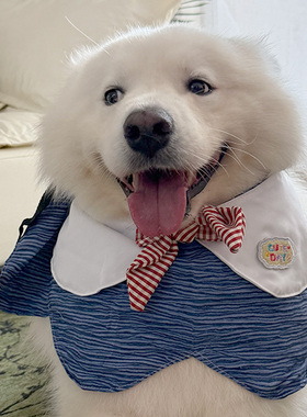 新款宠物狗狗蓝色波纹花瓣围兜中大型犬哈士奇萨摩金毛可爱围脖