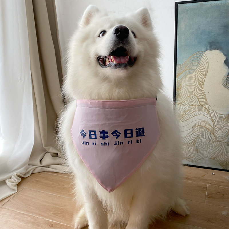 新款宠物狗狗今日事今日避粉色三角巾口水巾萨摩耶拉布拉多围巾