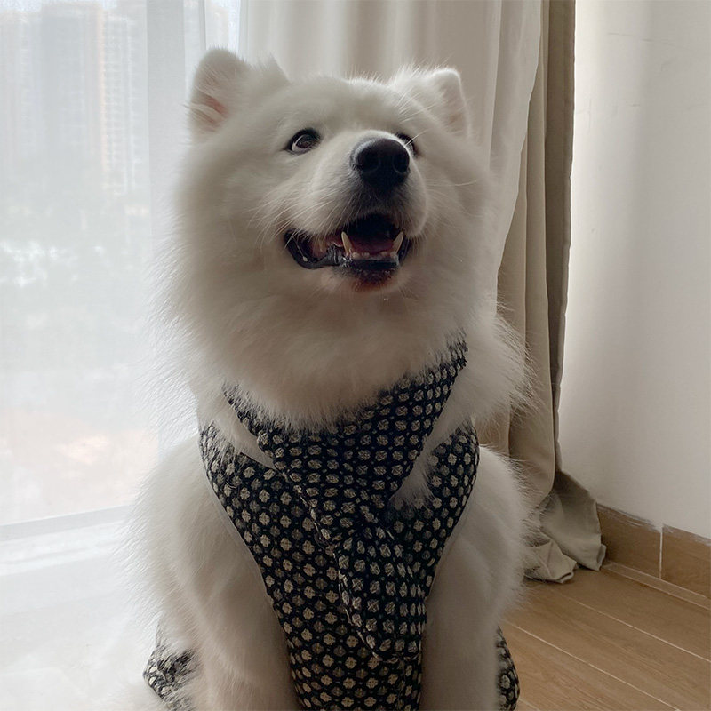 宠物衣服秋冬加绒衣服狗狗裙子领巾围巾中大型犬萨摩拉布拉多金毛