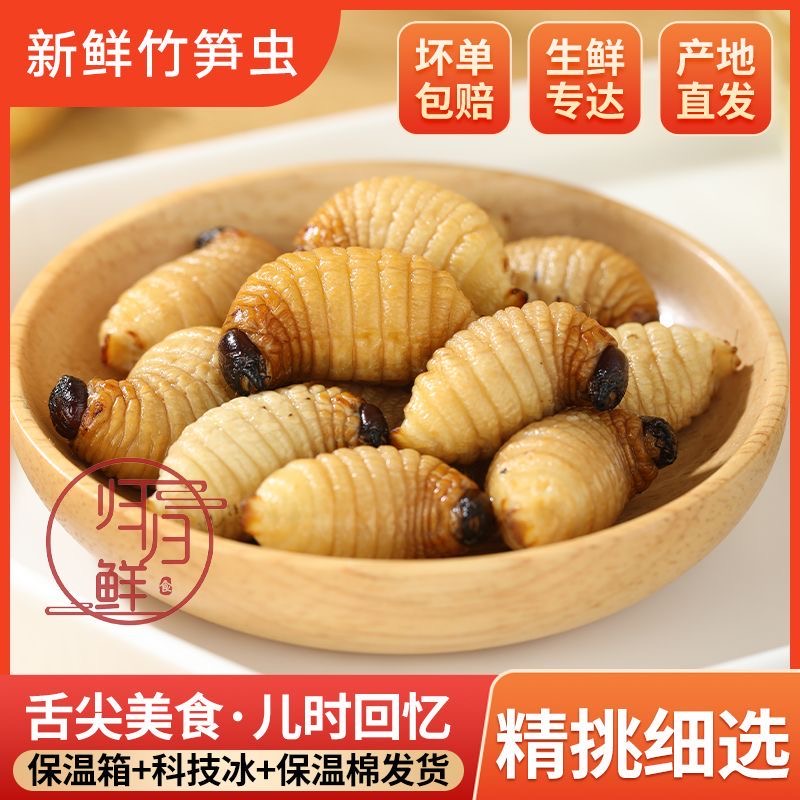 竹虫云南广东广宁竹笋虫活椰子虫皇竹虫新鲜速冻油炸