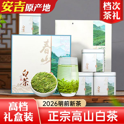 高档茶叶白茶礼盒好茶长辈喜爱