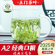 白茶安吉2025新茶茶叶自己喝绿茶明前春茶散装 嫩芽官方正品 旗舰店